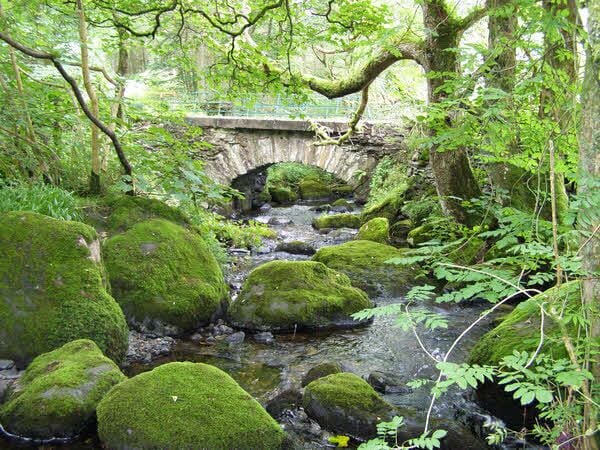 A stone bridge over a moss-covered stream in a forest.