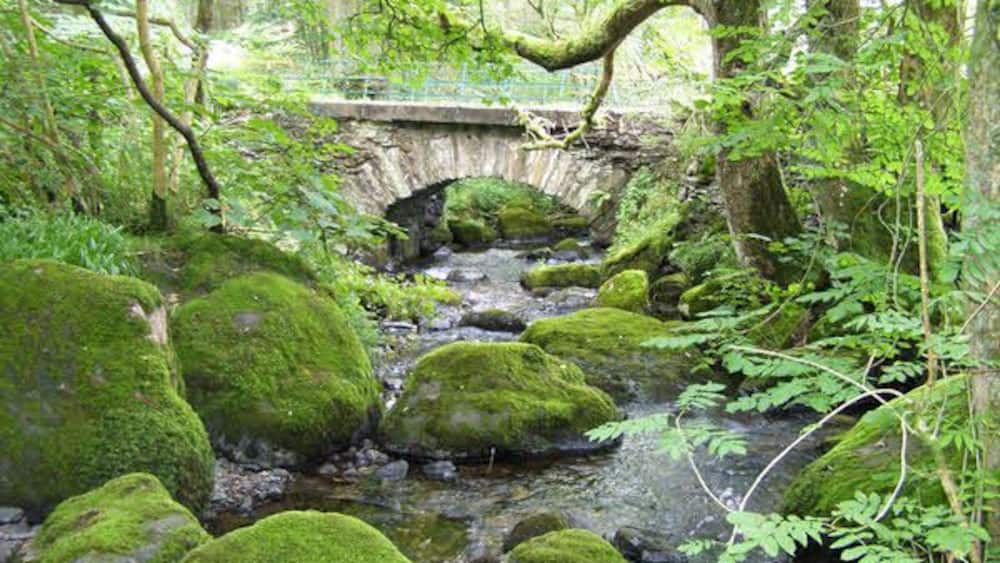 A stone bridge over a moss-covered stream in a forest.