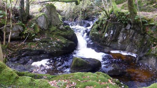 Holehouse Gill near Ulpha, Lake District, Cumbria, England