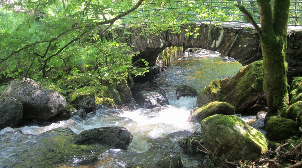 Photograph of Water Yeat Bridge, carrying a road over the River Lickle, Cumbria, England
