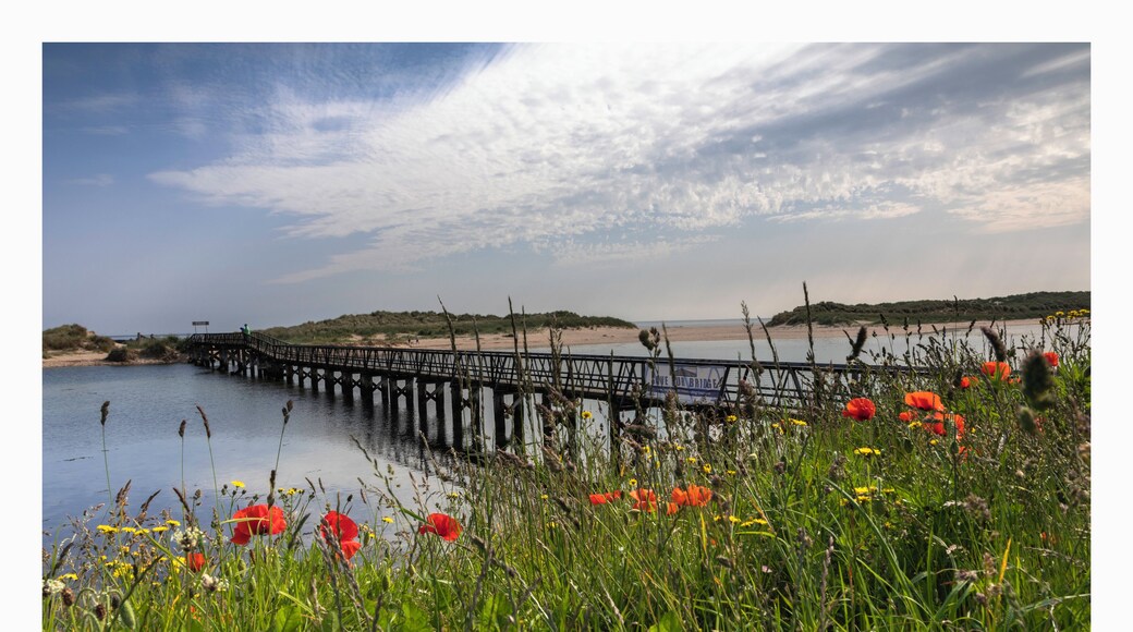 the spring flowers present an enticing gateway to the beach