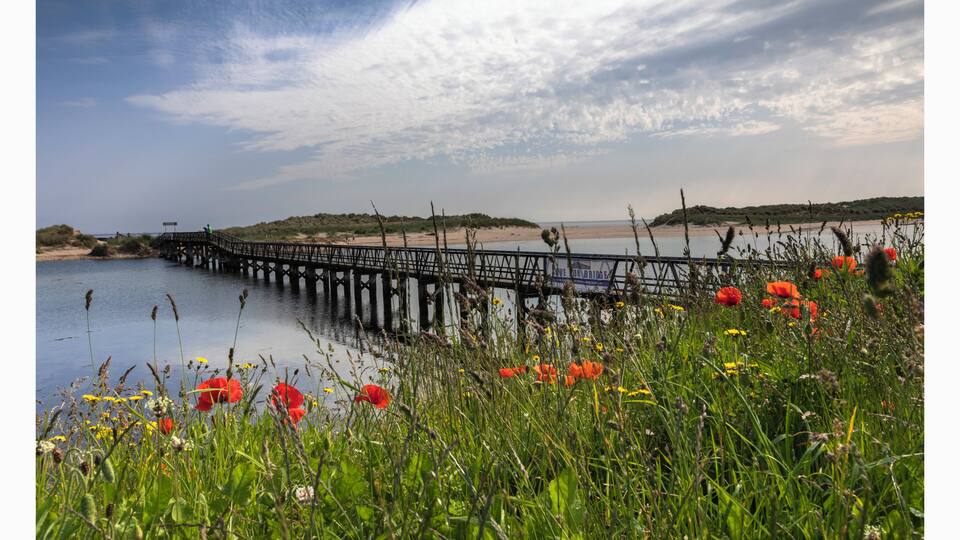 A pier extending into a calm body of water, surrounded by lush greenery and red flowers.