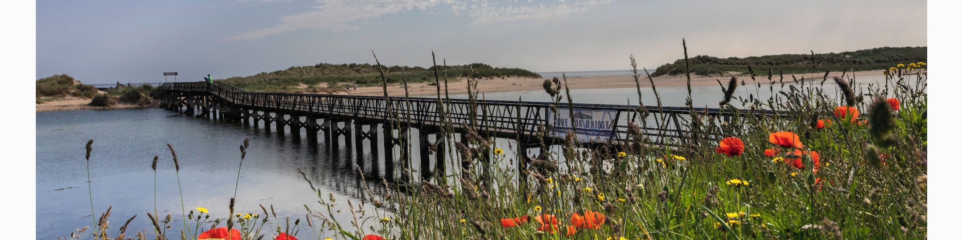 the spring flowers present an enticing gateway to the beach