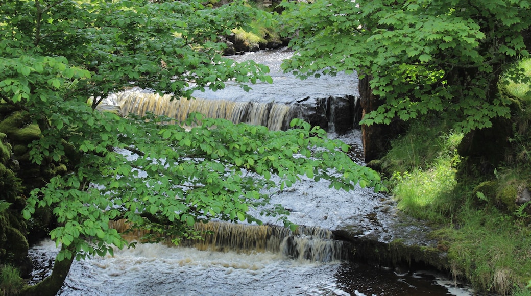 Underneath the viaduct lovely area