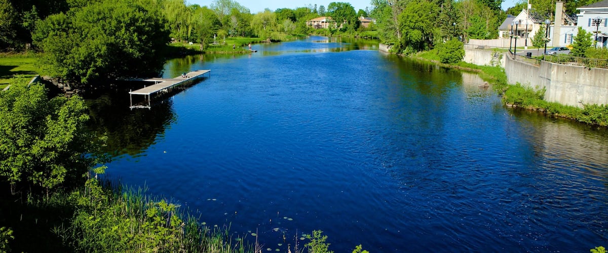 A river with a dock, surrounded by lush greenery and residential buildings.