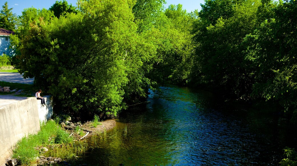 Kemptville featuring a river or creek