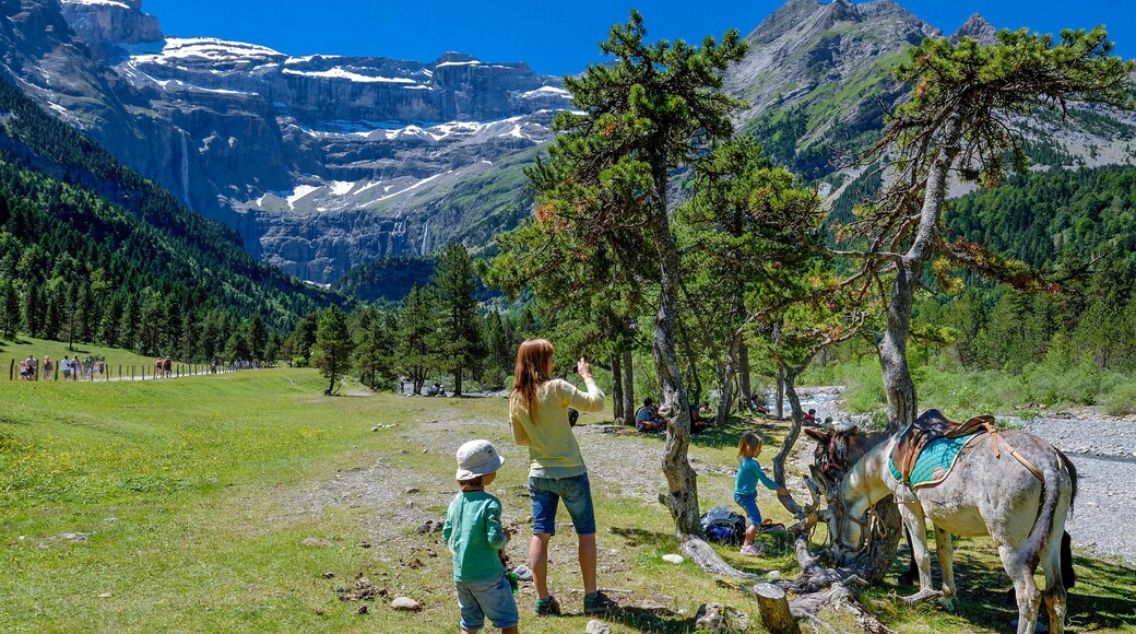 Pyrenees National Park, Hautes-Pyrenees, donkey ride in the Cirque de Gavarnie (UNESCO World Heritage)