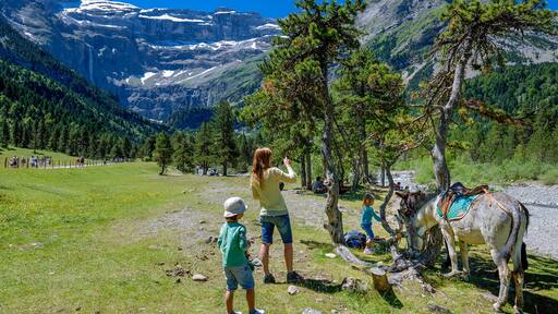 Pyrenees National Park, Hautes-Pyrenees, donkey ride in the Cirque de Gavarnie (UNESCO World Heritage)