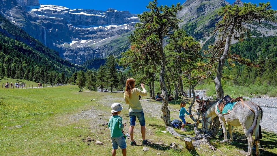Pyrenees National Park, Hautes-Pyrenees, donkey ride in the Cirque de Gavarnie (UNESCO World Heritage)