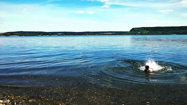 Idéal pour baignade canoë