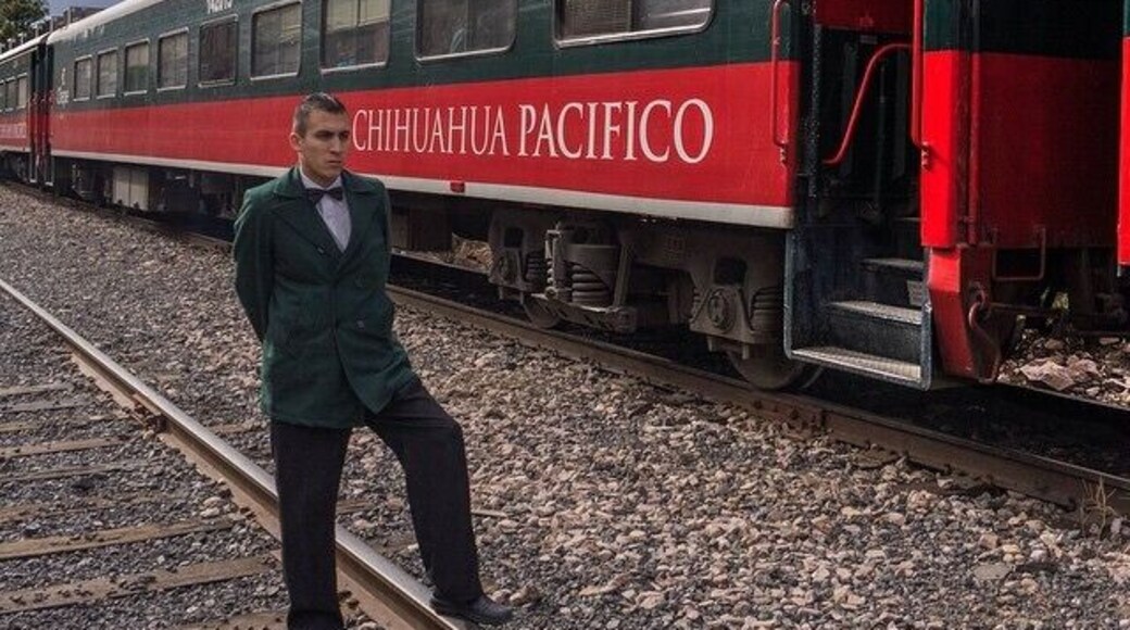 The El Chepe train goes through Copper Canyon - Mexico's hidden gem. A train ride with one of the best views! #Mexico #ig_mexico @visitmexico #elchepe #coppercanyon #train #bestview #welovemexico #twohobos #TroveOn