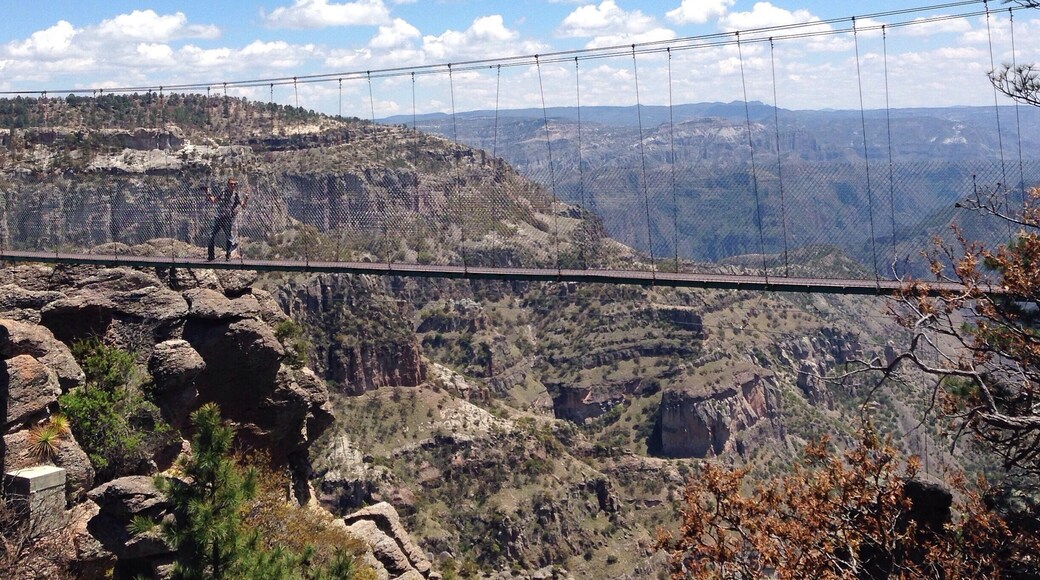 Just 3 Minutes from the Chepe Train Station Divisadero you'll find this little suspension bridge with a stunning copper canyon view! www.woanderssein.com