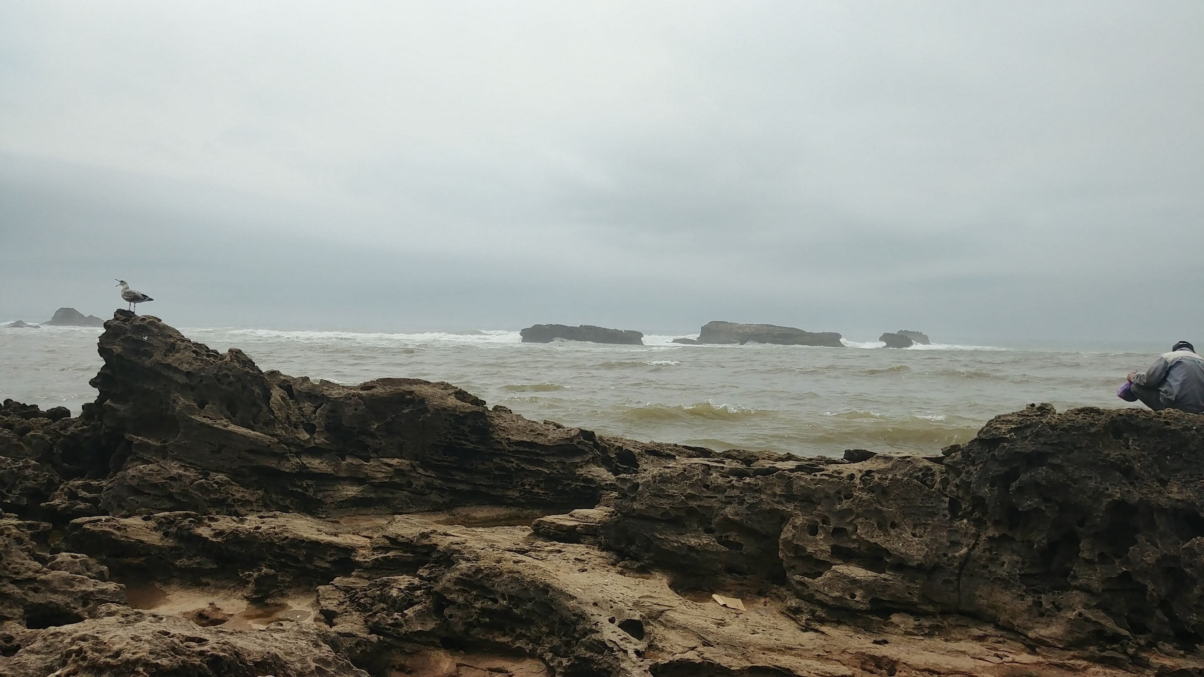 It's usually much sunnier than this. But the Atlantic coast of Morocco is always beautiful. #GreatOutdoors