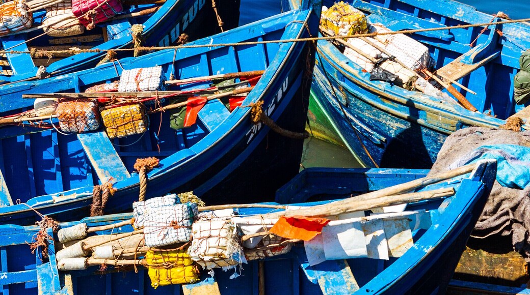 More blue fishing boats from the Essaouira harbour.
#BVSBlue