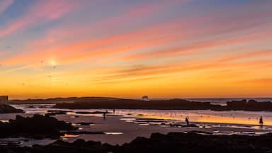 Panorama view of the silhouette from the old Fort Essaouira, Sqala du Port, at sunset, blue sky, background with flying Seagulls in Essaouira, Morocco