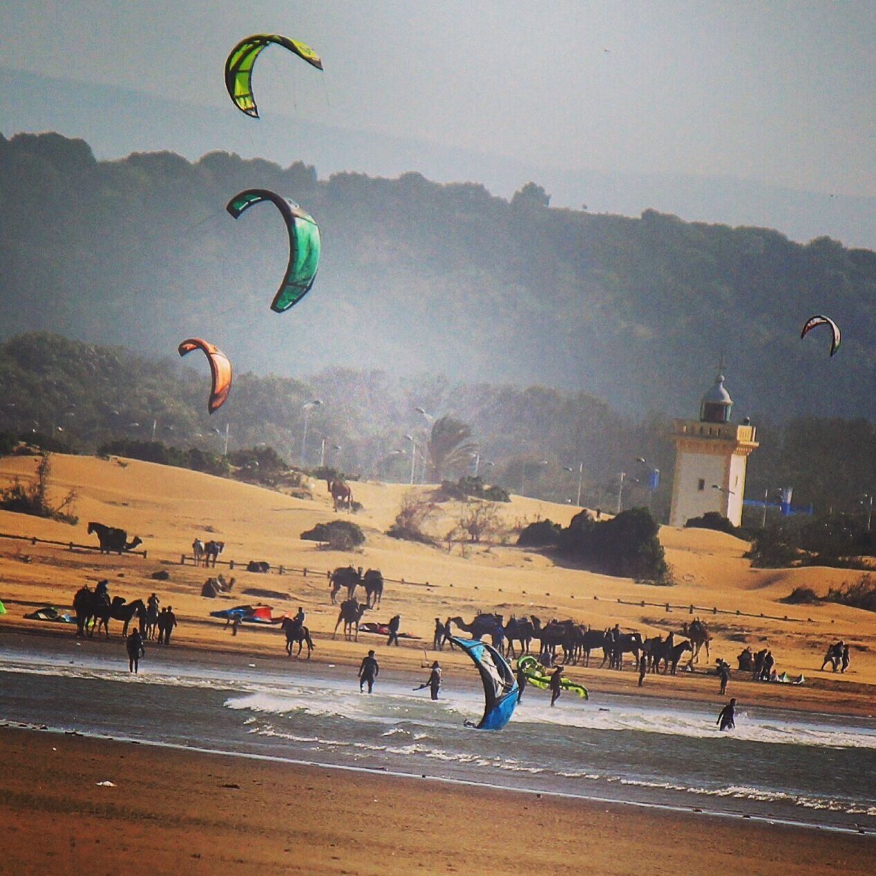 Lots of beach action