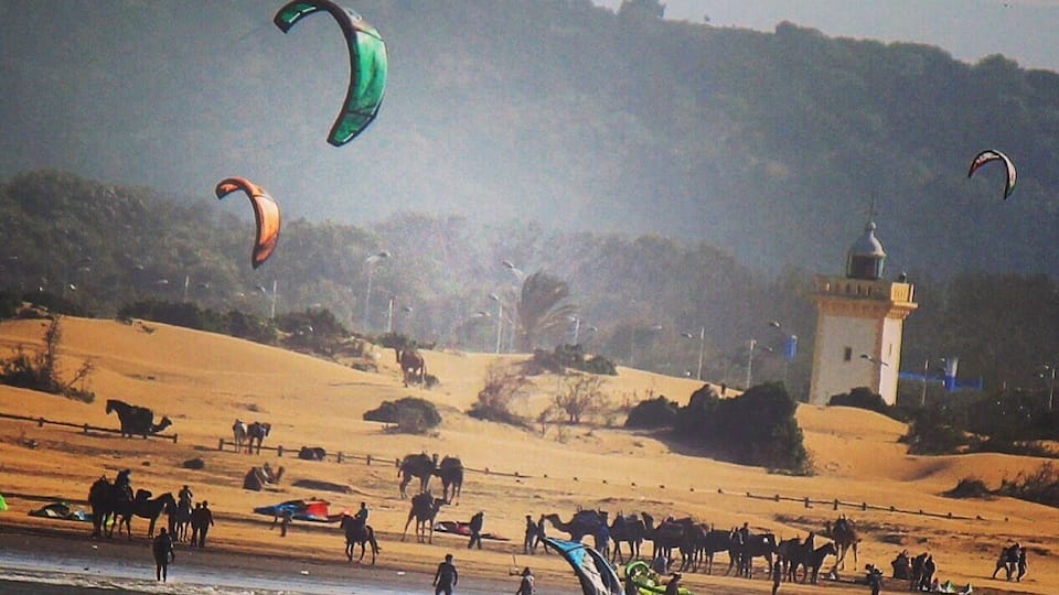 Lots of beach action