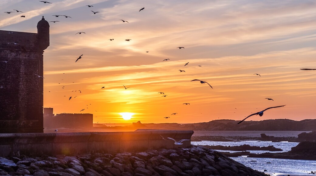 Panorama view of the silhouette from the old Fort Essaouira, Sqala du Port, at sunset, blue sky, background with flying Seagulls in Essaouira, Morocco