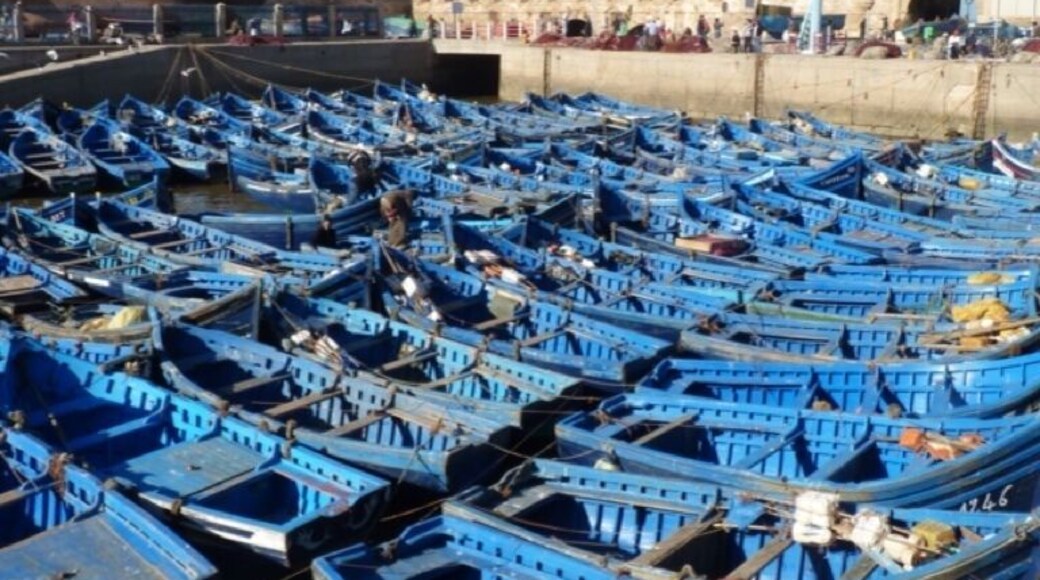 Only blue for the fishing boats