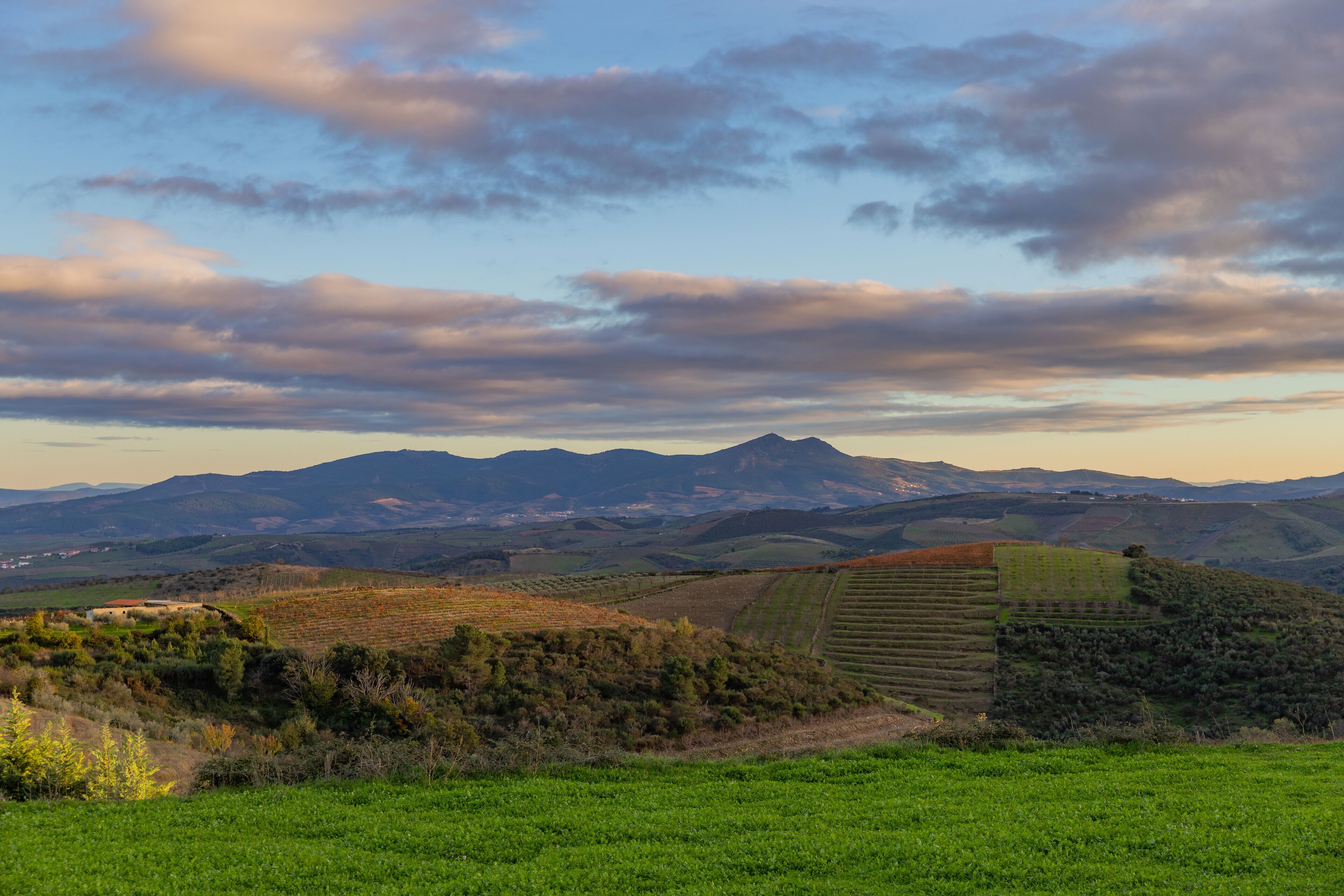Tranquil countryside of Valpacos