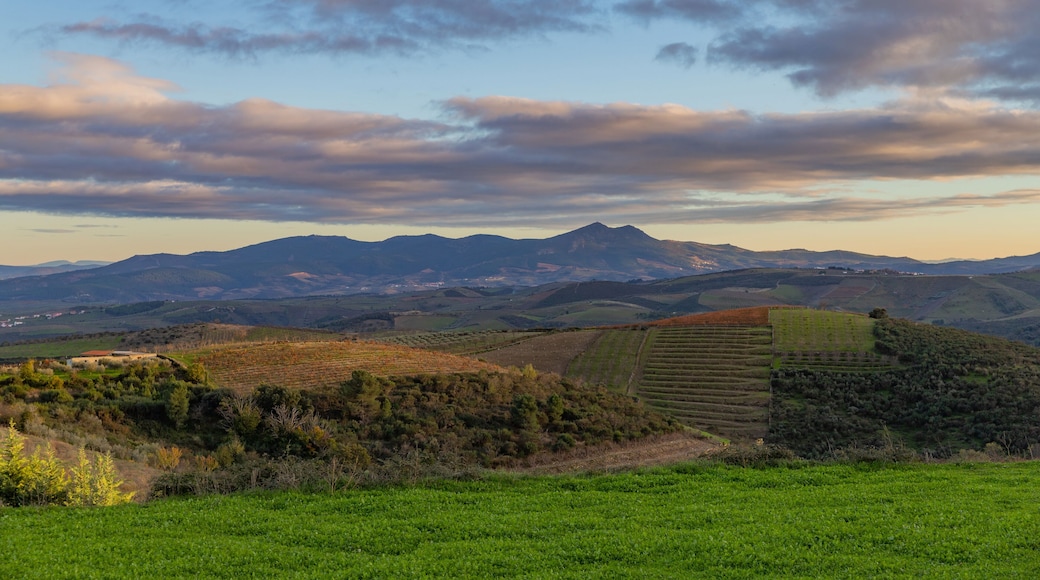 Tranquil countryside of Valpacos