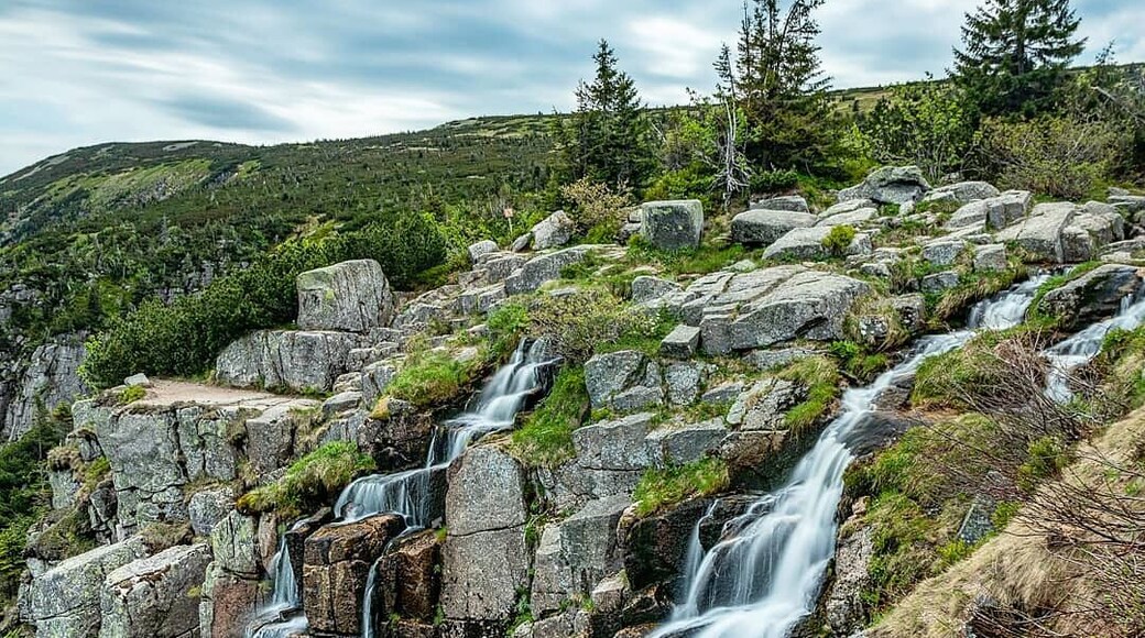 With its 148 m, Pančavský Waterfall is the highest one in Czech Republic and true jewel hidden in Krkonoše mountain range. The waterfall is easily accesible, so for the most of daytime, you meet here more that comfortable amount of tourists, citizens as well as from abroad. The best tip for relatively undisturbed visit is to come out of the "prime time" - in the morning, evening or in Winter for example:-)
#czech #waterfalls #nature #landscape #czechrepublic
#travelinspiration
#mountains
#nationalpark