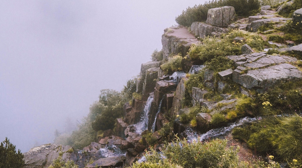 Cool waterfall in Krkonose Mountains