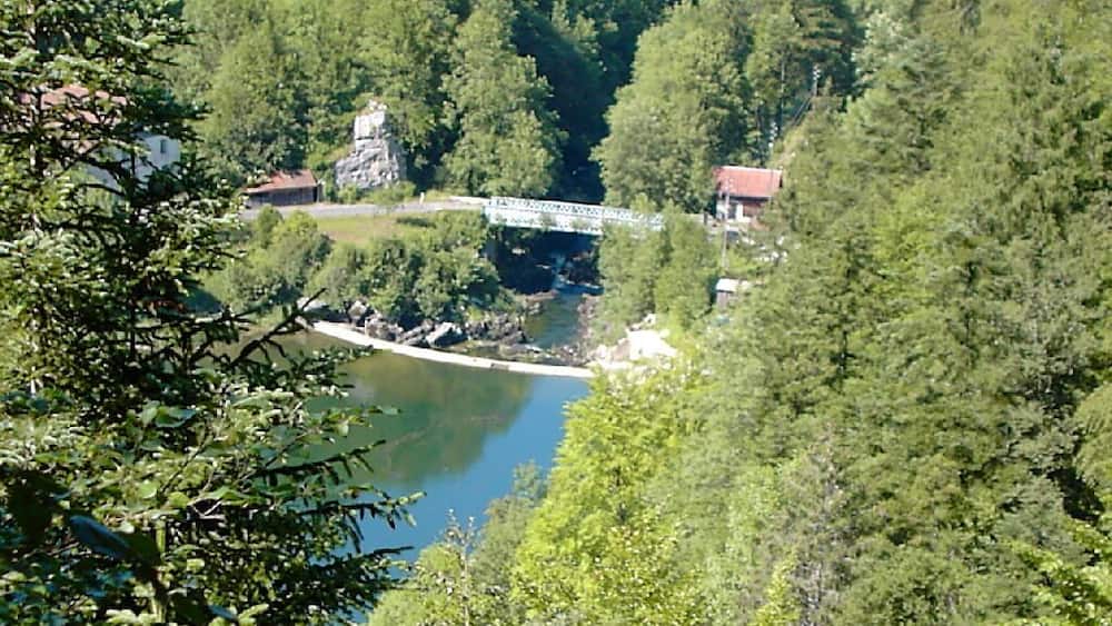A river surrounded by dense forest, a bridge, and buildings.