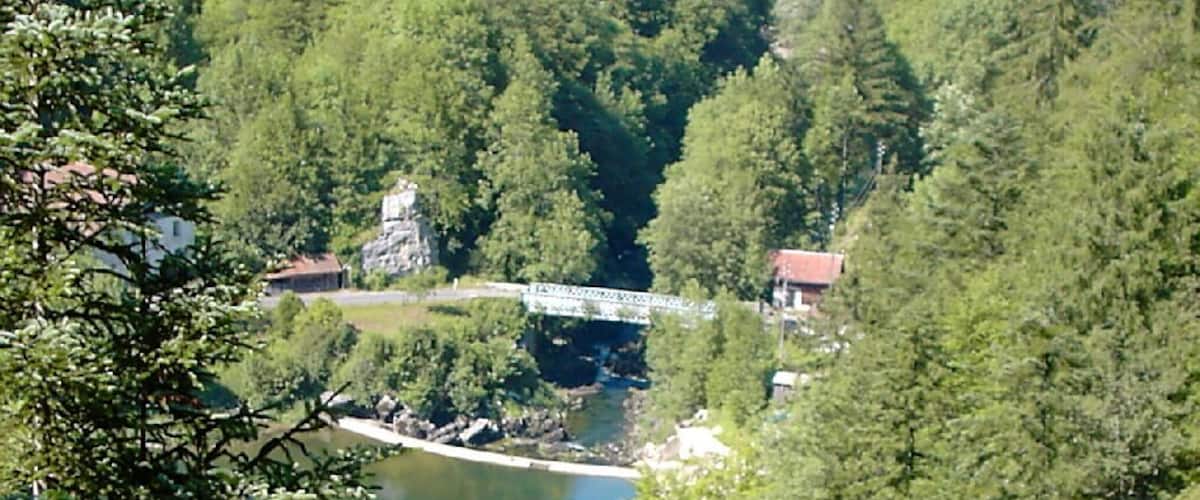 Un río rodeado de bosque denso, un puente y edificios.