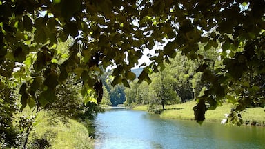 A calm river with boats docked on the left, surrounded by lush greenery and trees.