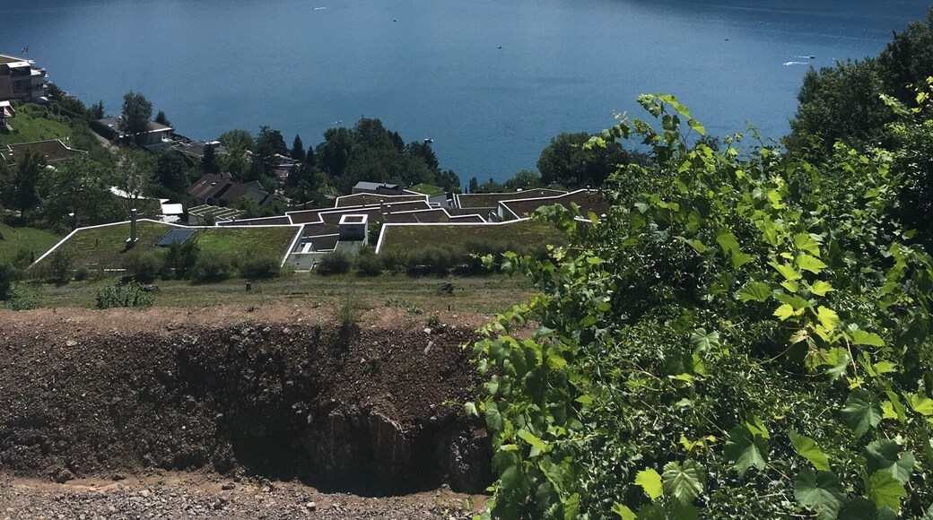 A view of Lake Lucerne from the Weggis to Vitznau hike.