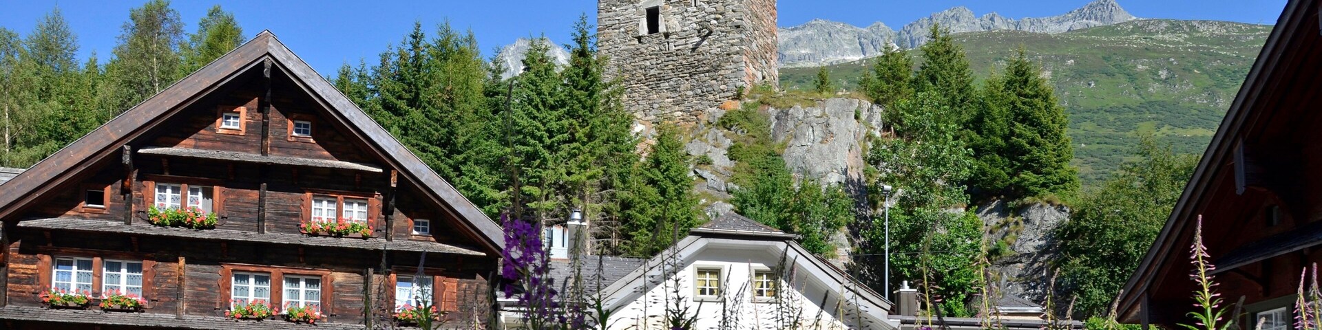 Andermatt showing wildflowers and heritage architecture
