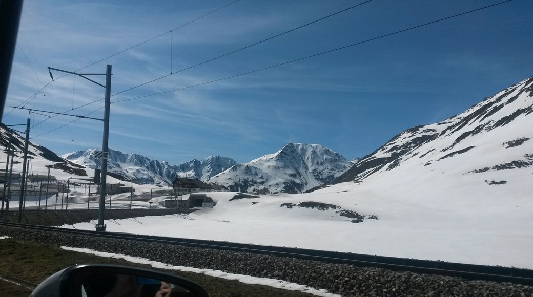 With the caprio in the sunny winter landscape