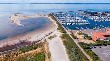 A coastal marina with boats, a beach, and a pier.