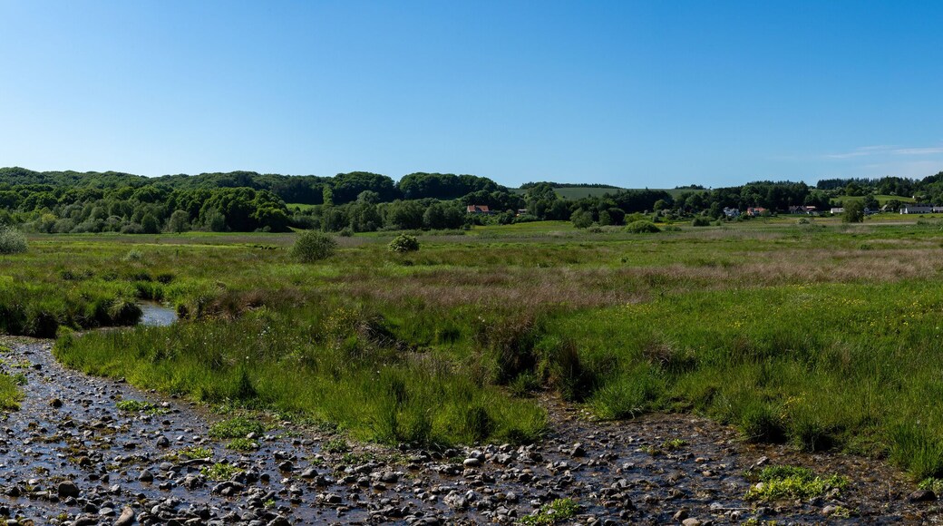 panorama of river and heath landscape in Rebild National Park in northern Denmark