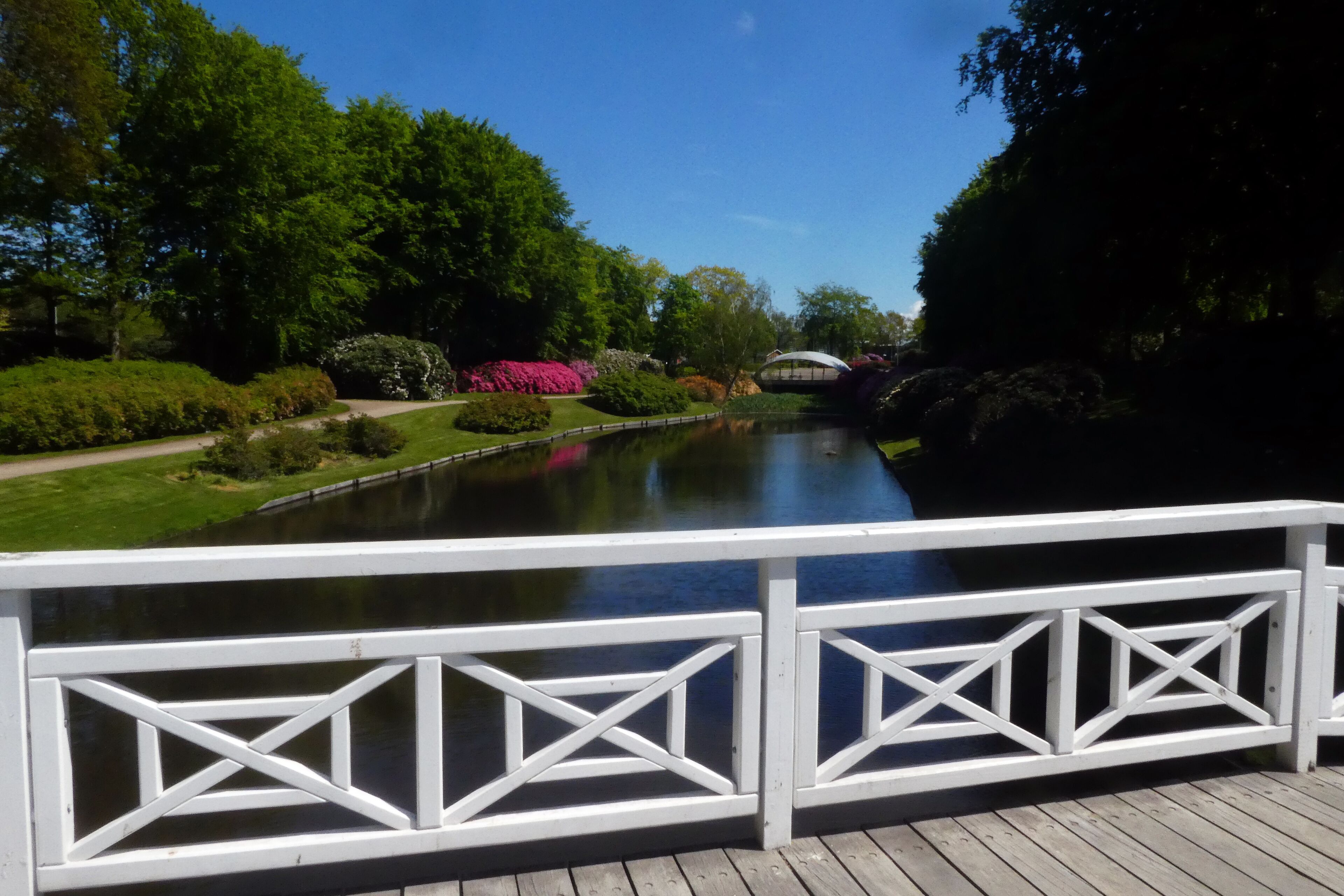 A wooden deck overlooking a calm pond, surrounded by lush greenery and flowering plants.