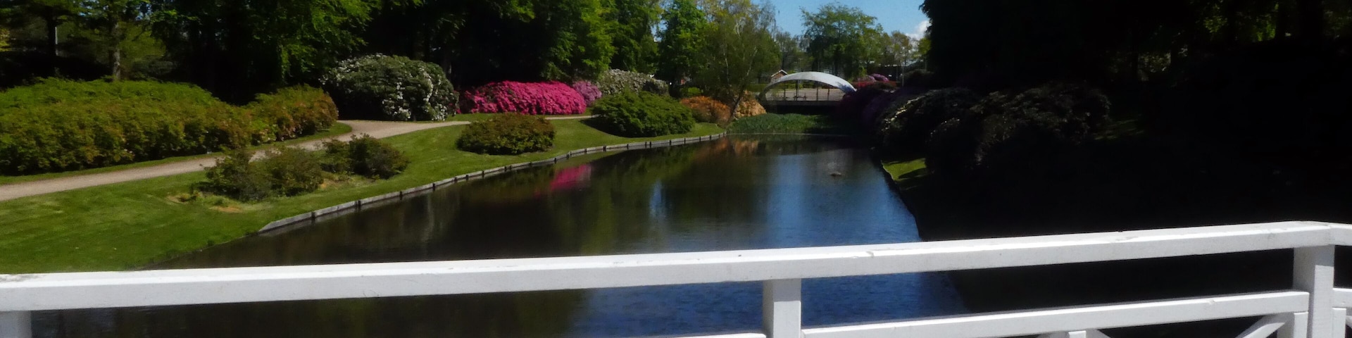 A wooden deck overlooking a calm pond, surrounded by lush greenery and flowering plants.