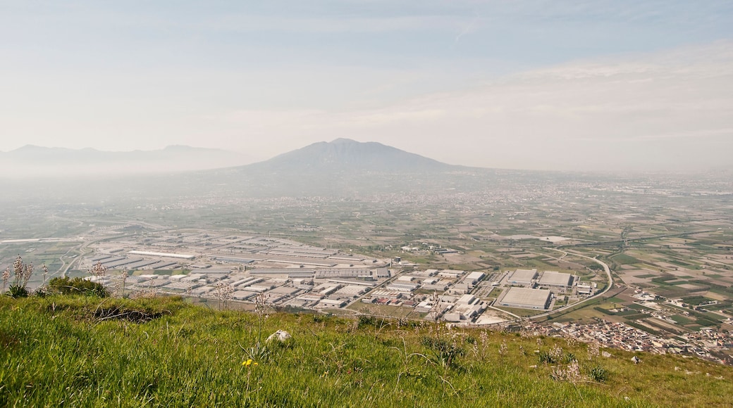 C3TCP4 Pianura Campana and Mount Vesuvius, Nola, Italy