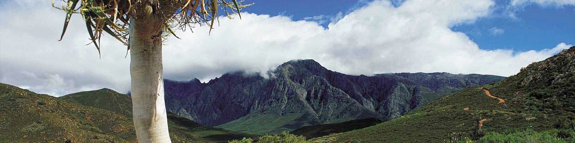 Worcester mit einem Berge und Landschaften