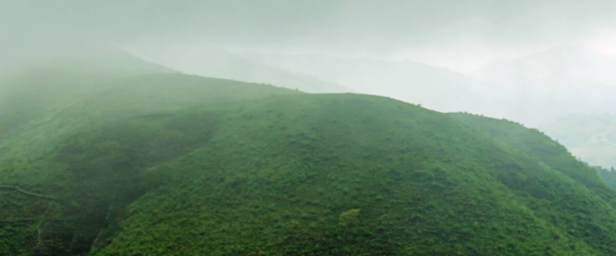A misty mountain landscape with lush green vegetation.