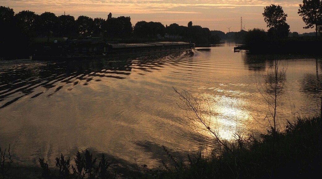 Shot taken at the river Leie.