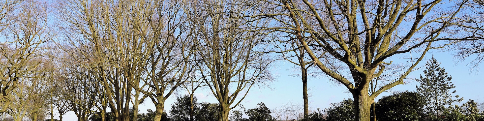 This is a photo of onroerend erfgoed number