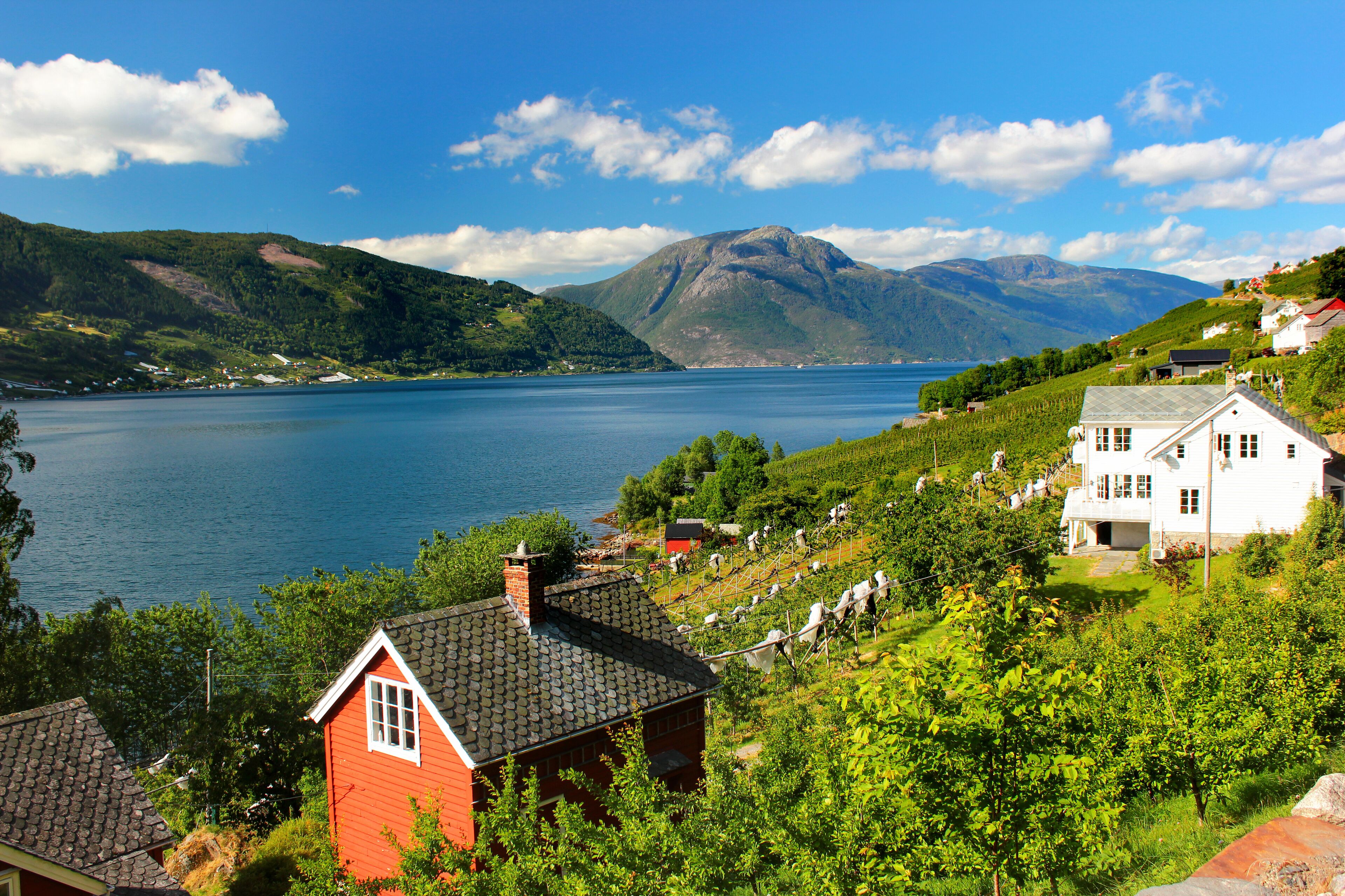 A lake surrounded by mountains, with houses and vineyards on the hills.