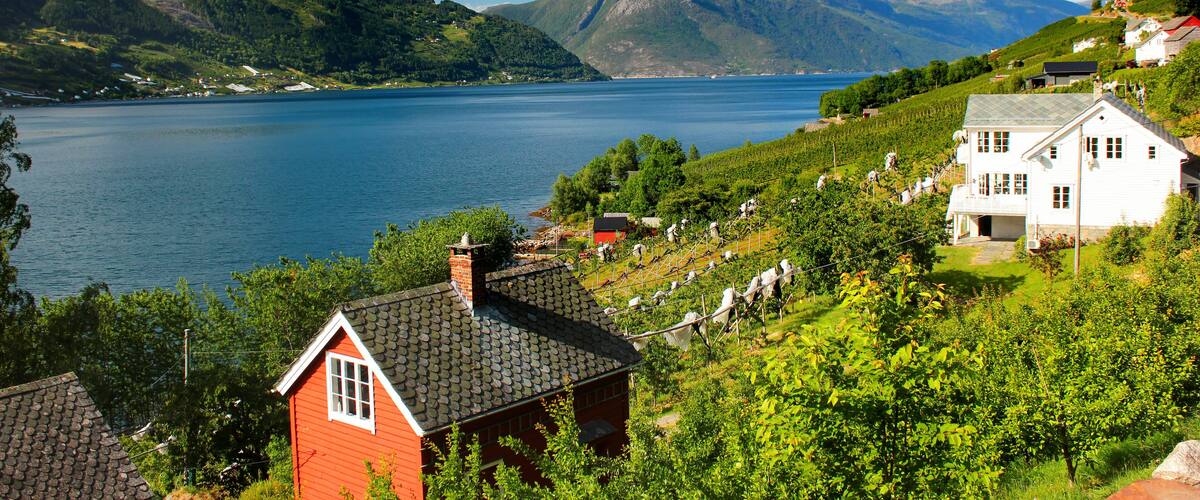 A lake surrounded by mountains, with houses and vineyards on the hills.