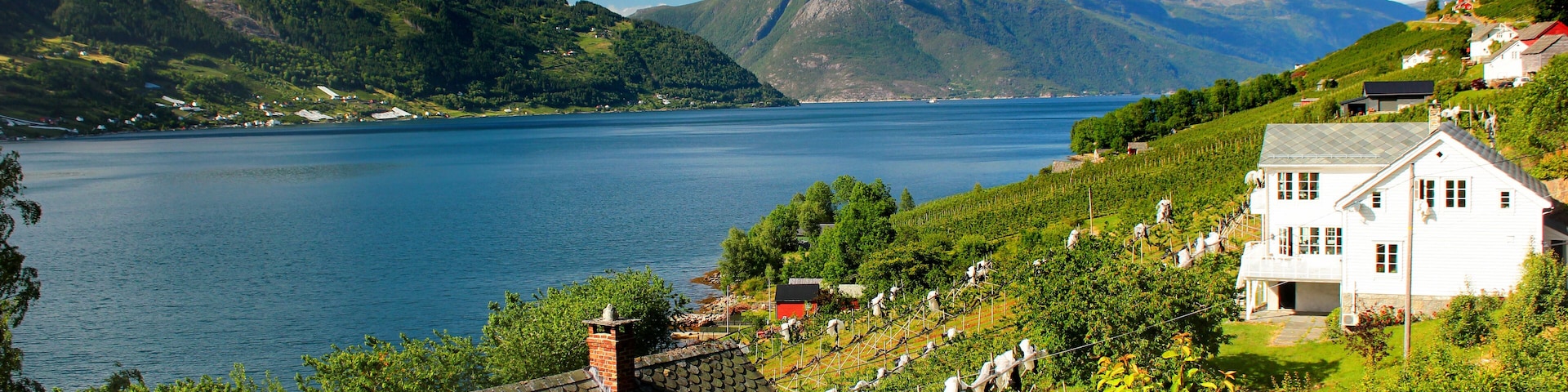 A lake surrounded by mountains, with houses and vineyards on the hills.