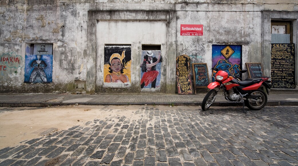 Street art Colonia Uruguay.
A short trip over the Rio Plata,from Buenos Aires lies the sleepy backwater of Colonia Uruguay. In sharp contrast to Argentina's Capital The Barrio Historico , "founded 1680", is a UNESCO World Heritage site.
#Culture #Adventure