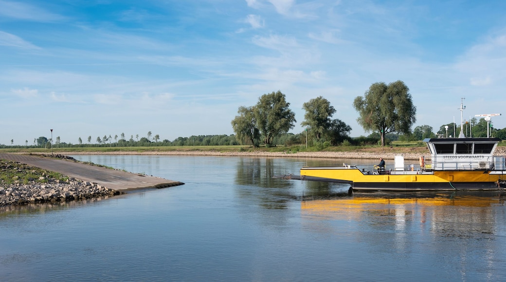 yellow ferry on river ijssel between olburgen and dieren in gelderland