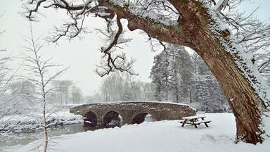 birr garden ireland snow covered bridge and tree