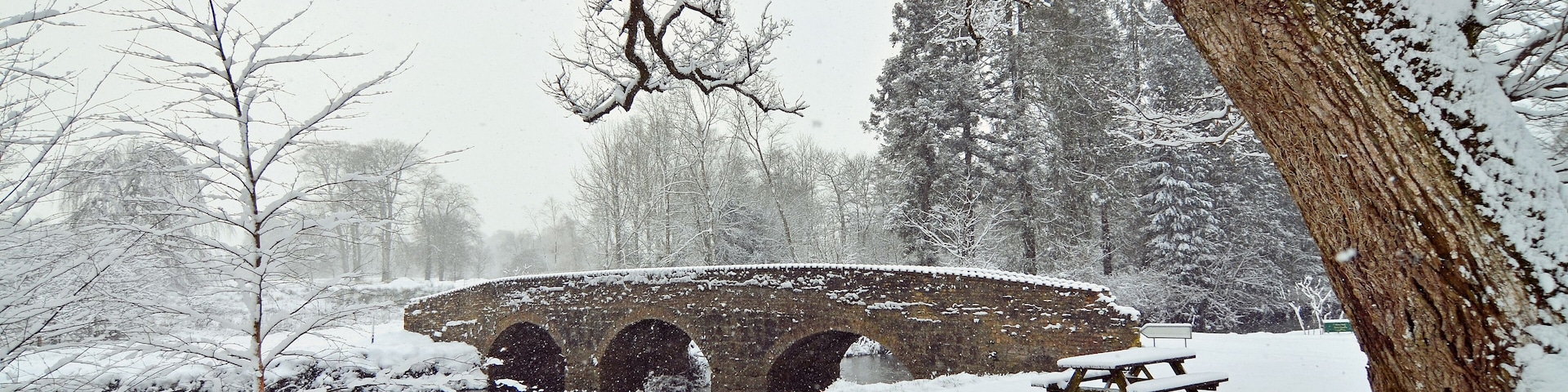 birr garden ireland snow covered bridge and tree