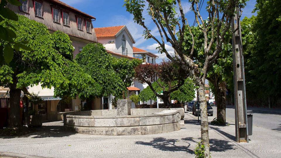 A cobblestone square with a circular fountain, surrounded by trees and buildings with red-tiled roofs.